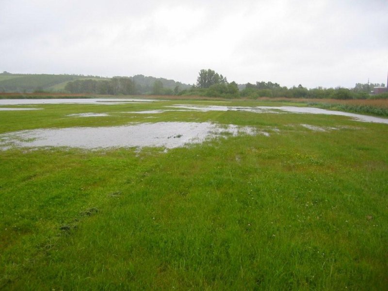 regn_11-12_juni_2009 8